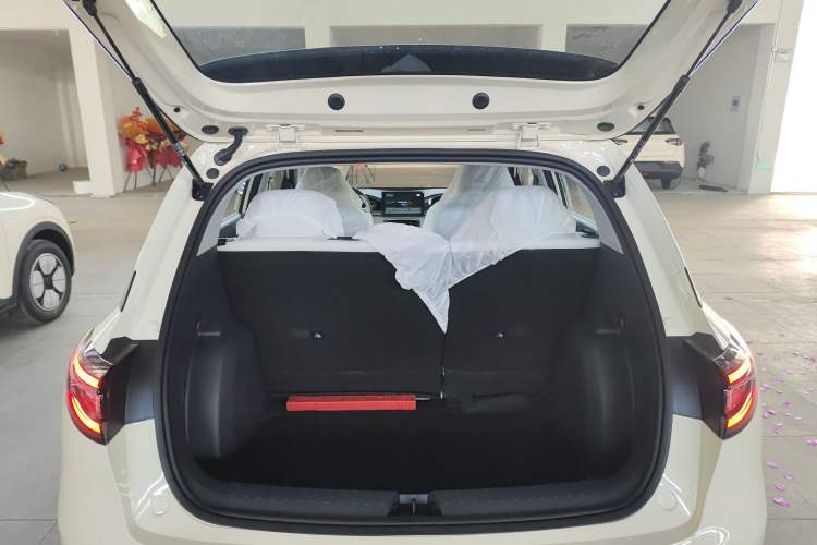 Used  Geome 2025 310km Youth Edition
