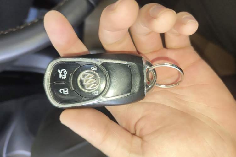 Used Buick Regal 2019 20T Elite Version China VI Standard
