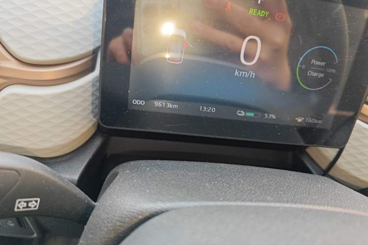 Used SOL E10X 2022 Flower Fairy Design Four-Leaf Clover