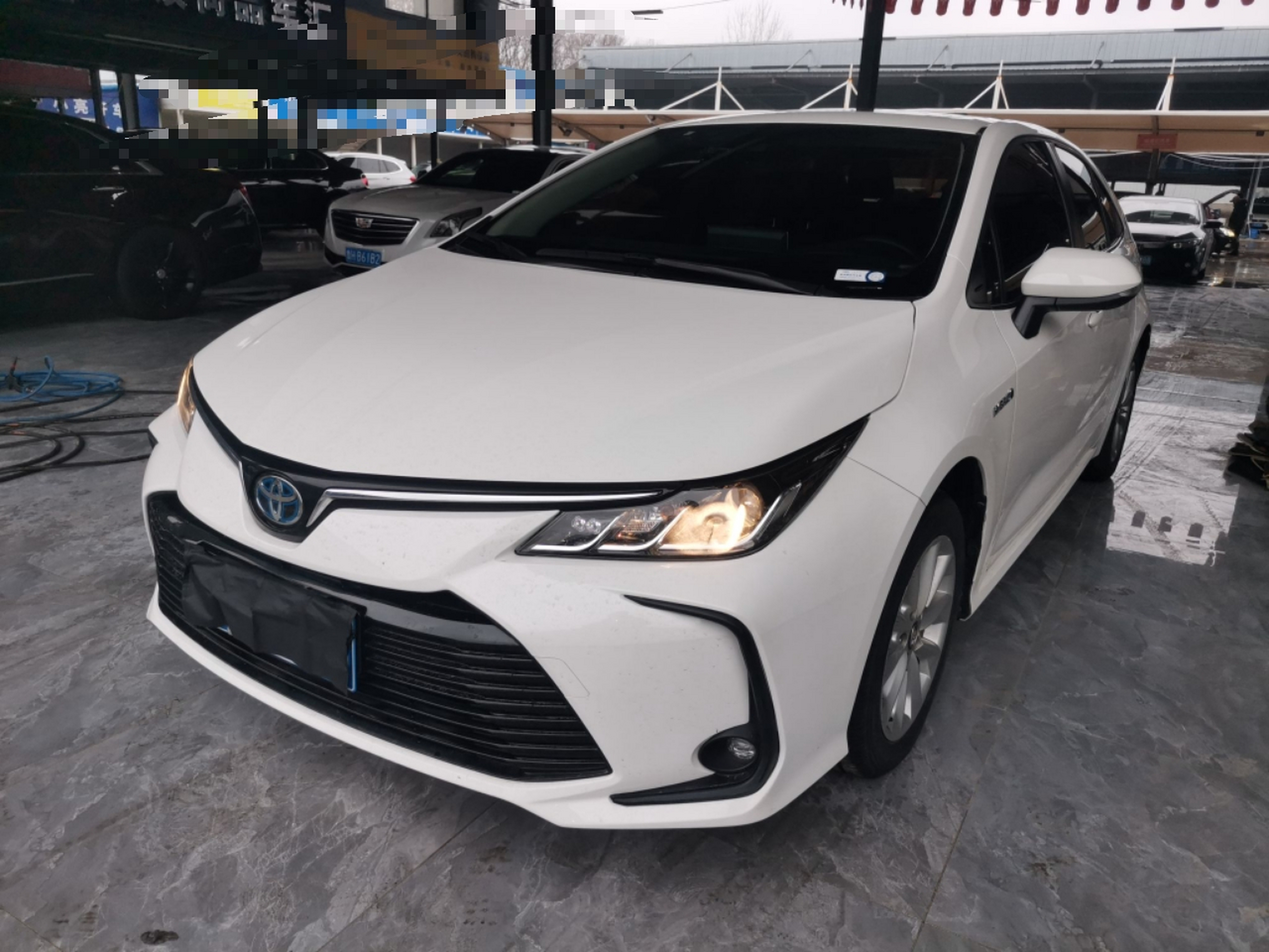 تحت مقدمة السيارة