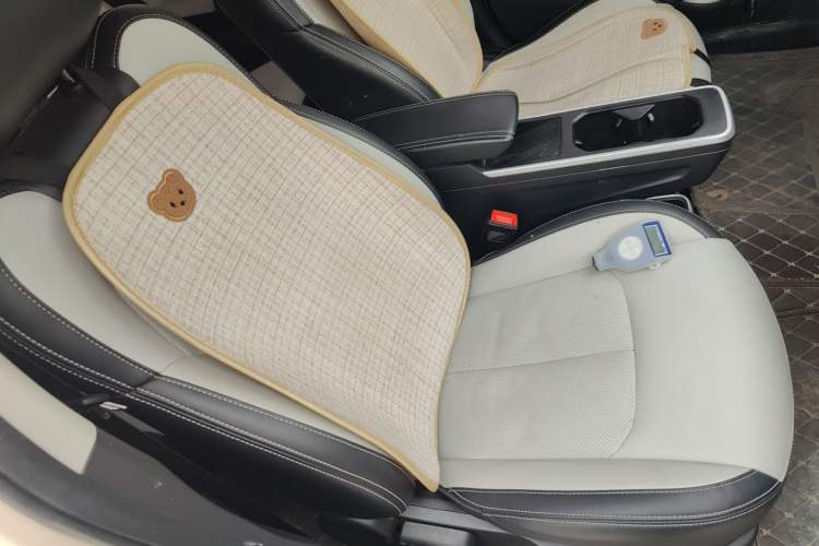 Used NETA AYA 2023 318 Lite