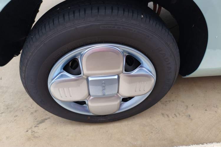 Used  Panda 2023 Panda Mini 200km Endurance Bear
