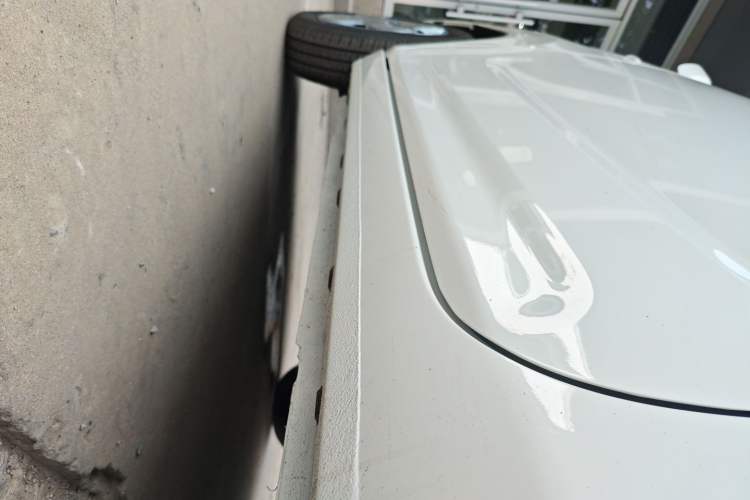 Used  Panda 2024 Panda Mini 200km Endurance Bear
