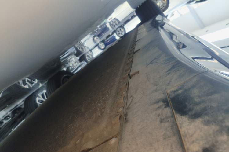 Used  07 2024 Max Pure Electric Edition
