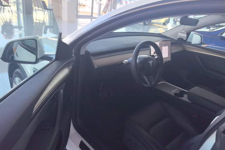 Used Tesla Model Y 2021 Standard Range Rear-Wheel Drive Version
