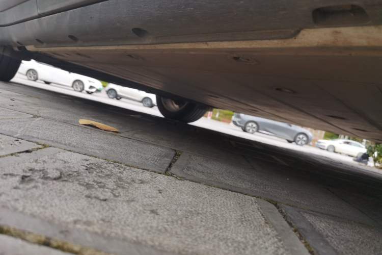 Used  #1 2022 Pure+ Edition
