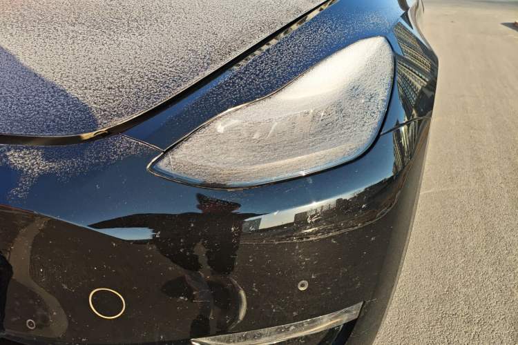 Used Tesla Model Y 2021 Standard Range Rear-Wheel Drive Version
