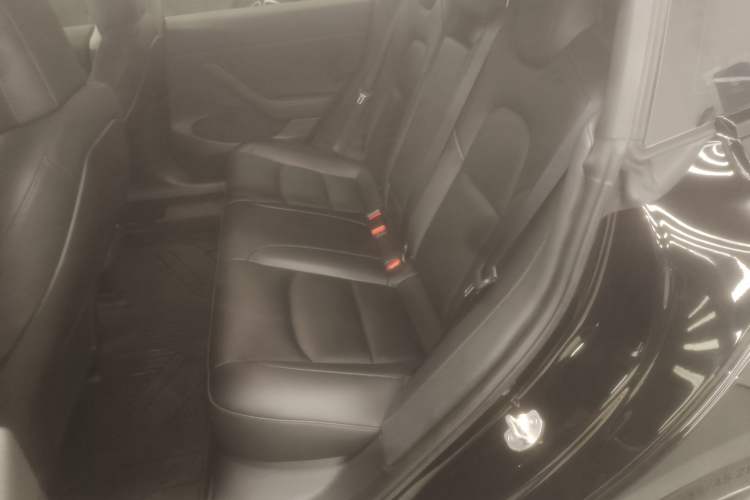 Used Tesla Model 3 2021 Standard Range Rear-Wheel Drive Upgraded Version 3D6
