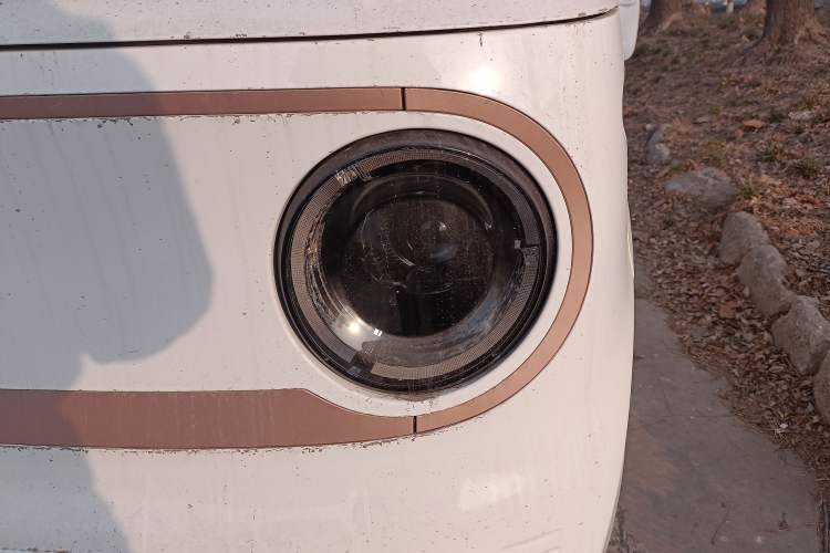 Used  Panda 2024 Panda Mini 200km Endurance Bear
