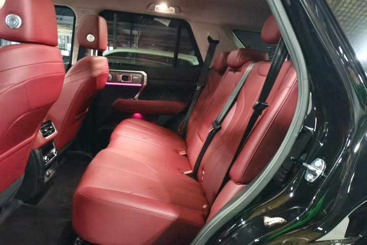 Used Tank 400 New Energy 