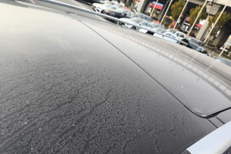 Used Mercedes-Benz V-Class 2020 V 260 Prestige Edition
