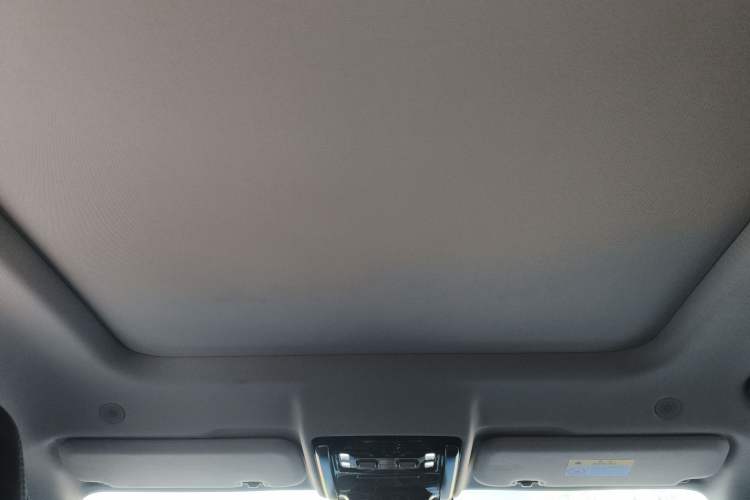 Used  Leopard 5 2023 Navigator Edition