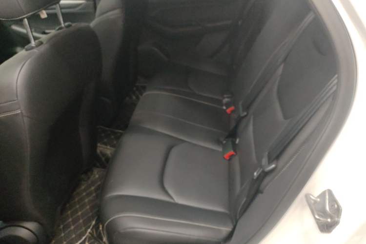 Used Ford Escort 2021 1.5L Automatic Platinum Edition
