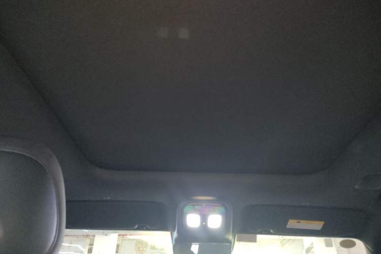 Used  G318 2025 Worry-Free Adventure Edition Four-Wheel Drive Secret Realm Version