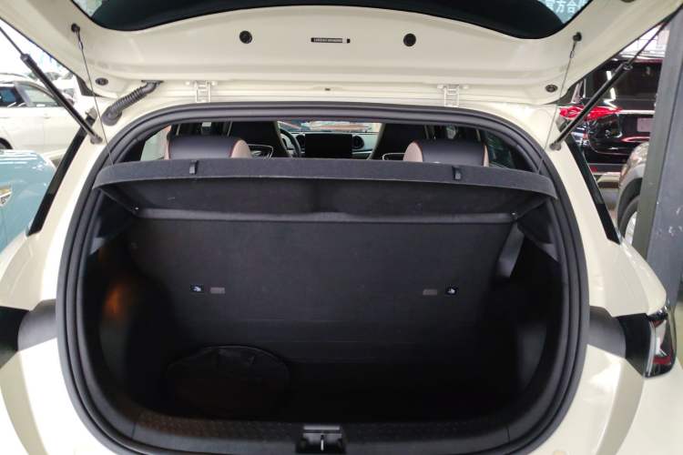 Used BYD Dolphin 2021 405 km Fashion Edition
