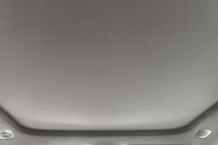 Used  07 2024 Max Pure Electric Edition