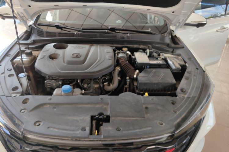 Used Changan Eado 2021 PLUS Blue Whale NE 1.4T GDI DCT Flagship Model
