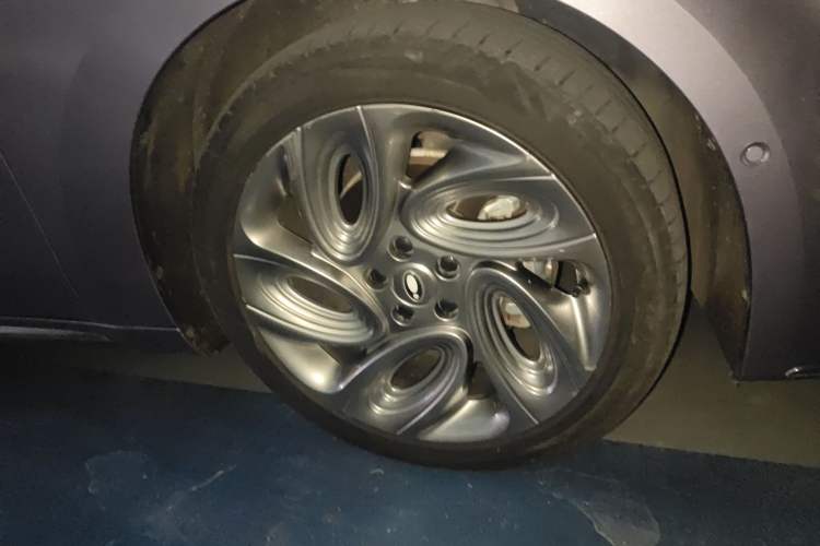 Used ORA Lightning Cat 2022 555 km Luxury Edition