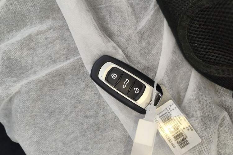 Used  Panda 2024 Panda Mini 200km Endurance Bear
