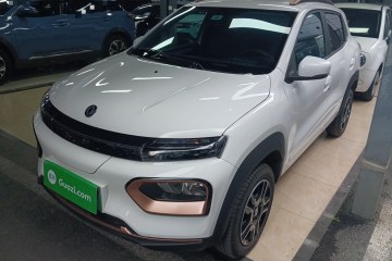 Used Dongfeng NAMMI EX1 2023 PRO Light Wind Edition Lightning Model