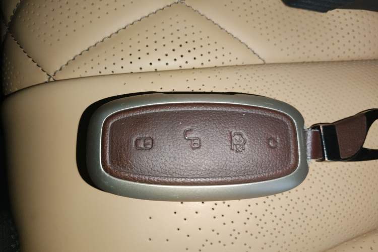 Used Denza D9 2024 DM-i 980 Four-Wheel Drive Prestige Model