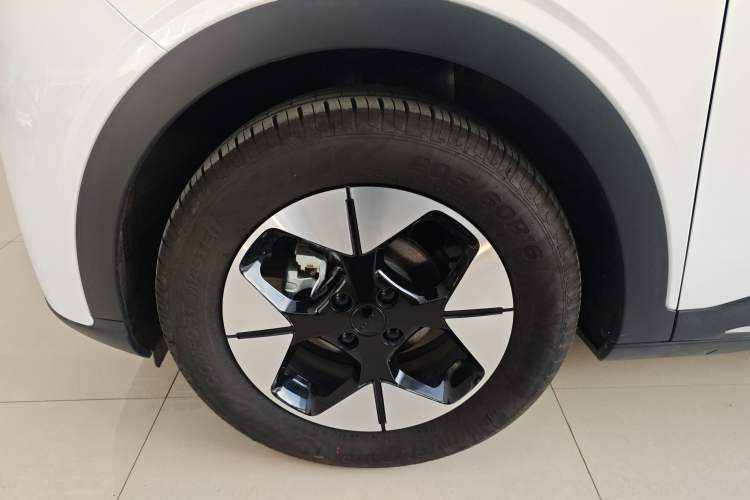 Used  Geome 2025 310km Dream Edition