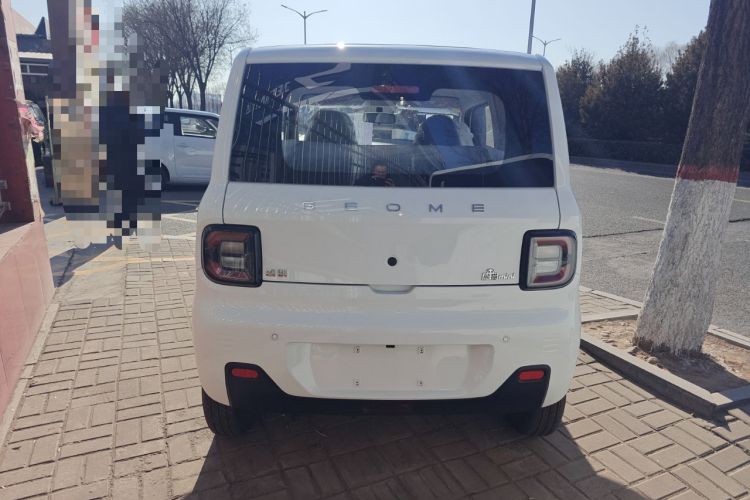 Used  Panda 2025 210 km – Yuanqi Bear