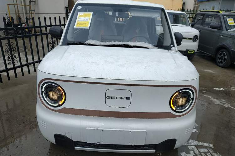 Used  Panda 2024 Panda Mini 200km Endurance Bear
