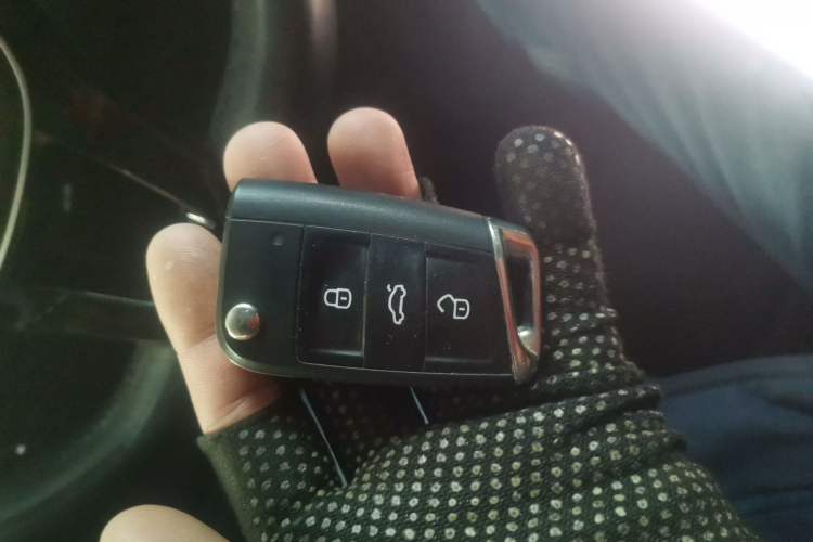 Used Volkswagen Tayron 2019 330TSI Two-Wheel Drive Luxury Model China VI Standard