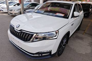 Used Skoda Kamiq 2018 1.5L Automatic Comfort Edition China VI Standard