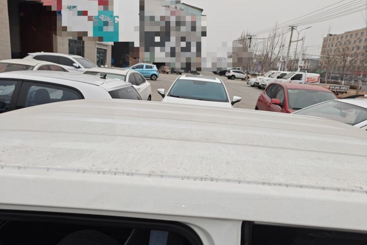 Used  Panda 2024 Panda Mini 200km Endurance Bear