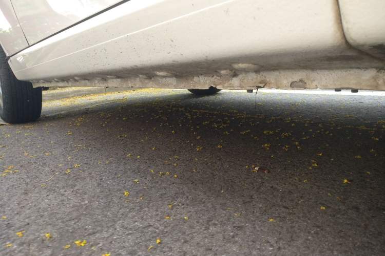 Used  iEV6E 2019 Youth Edition iEV6E Luxury Model
