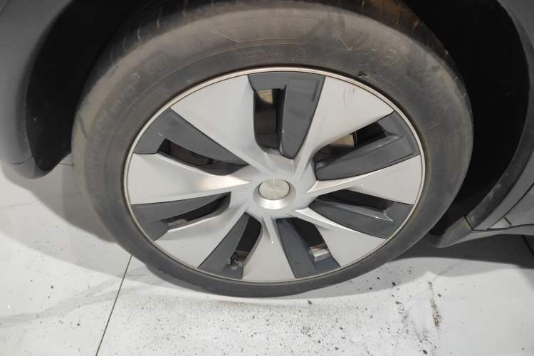 Used Tesla Model Y 2021 Standard Range Rear-Wheel Drive Version
