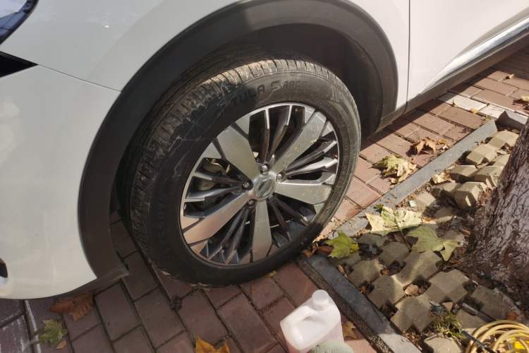 Used Haval F7x 2019 1.5T Two-Wheel Drive Smart & Trendy Edition
