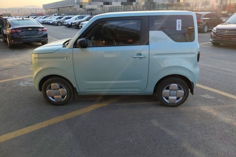 Used  Panda 2023 Panda Mini 200km Endurance Bear
