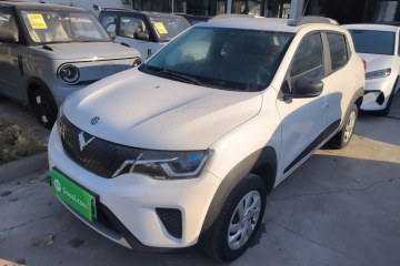 Used Venucia e30 2021 Elite Edition