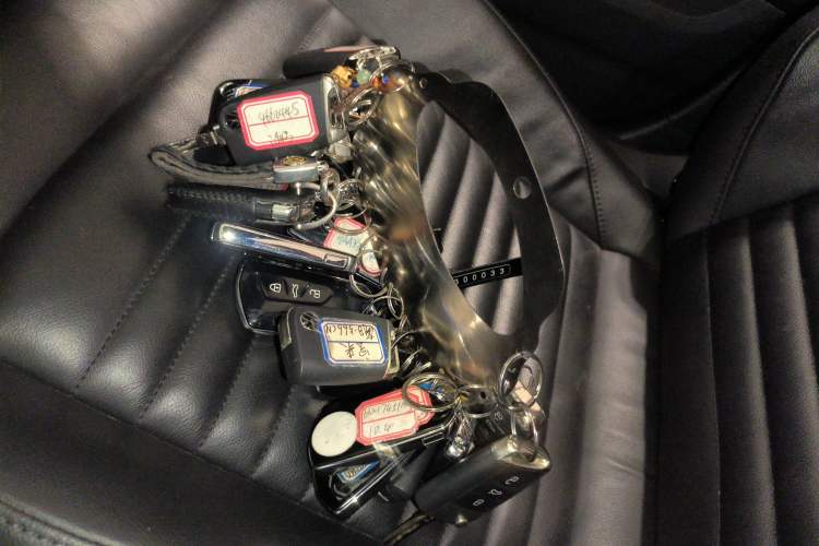 Used Volkswagen Magotan 2019 330TSI DSG Luxury Version China VI Standard
