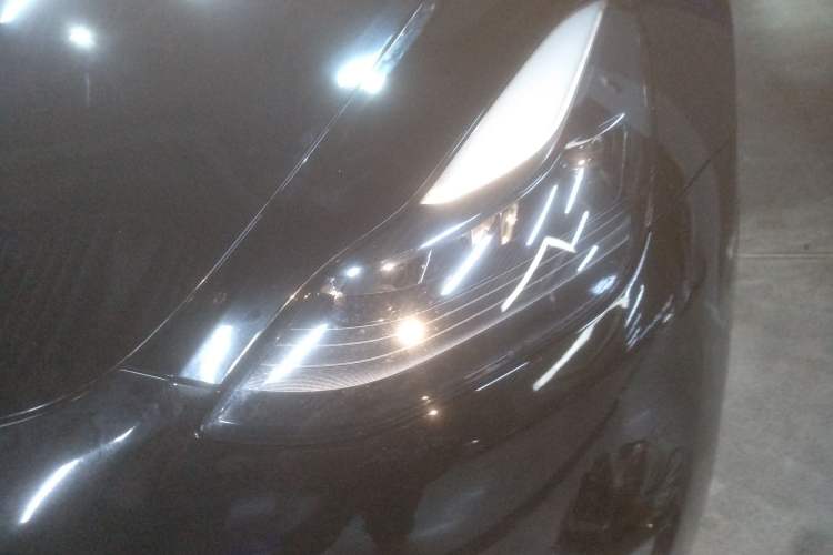 Used Tesla Model Y 2021 Standard Range Rear-Wheel Drive Version
