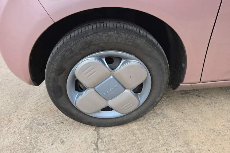 Used  Panda 2023 Panda Mini 200km Endurance Bear