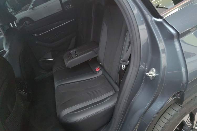 Used Geely Auto Monjaro L 2024 2.0TD High-Power Automatic Two-Wheel Drive Skyline Edition
