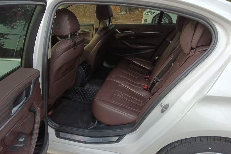 Used BMW 5 Series 2020 530Li Leading Edition Luxury Package
