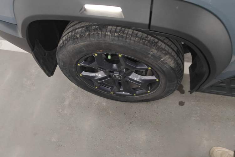 Used  Shanhai T2 2024 C-DM 129KM Linye Edition
