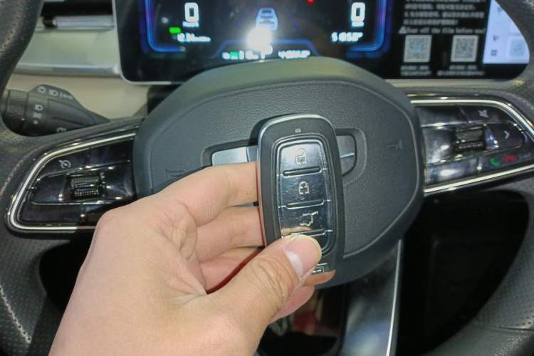 Used Geometry E Firefly 2023 320KM Cute & Handsome Tiger 5 Seats