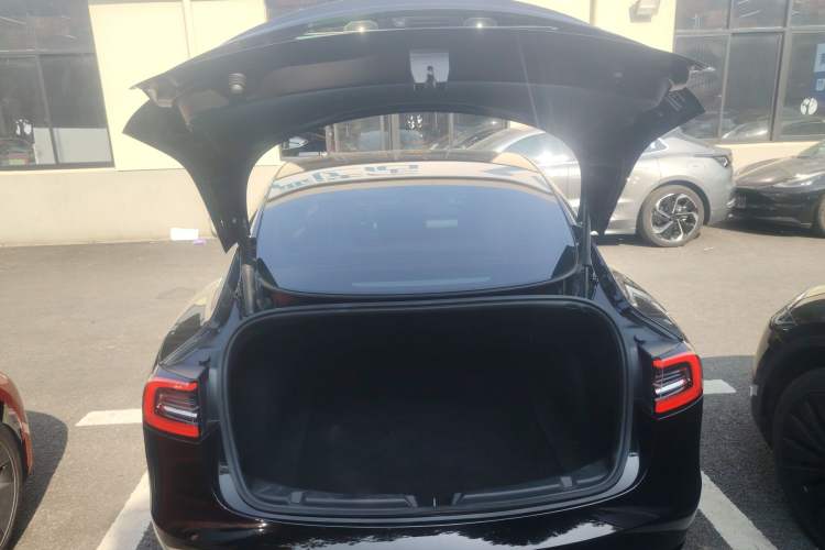 Used Tesla Model 3 2022 Rear-Wheel-Drive Version