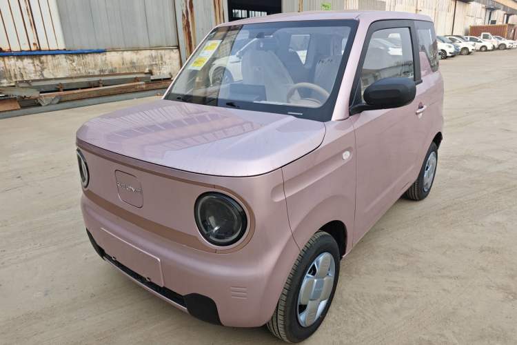 Used Geely Galaxy Panda 2024 Panda Mini 200km Endurance Bear