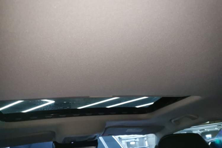 Used Tank 300 2024 2.0T Conqueror