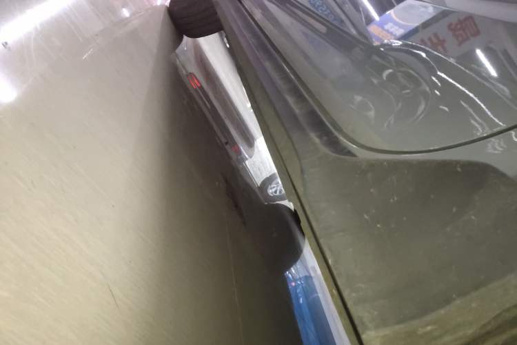 Used  Panda 2024 200km Panda Kart
