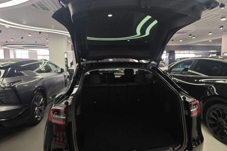 Used Tesla Model Y 2021 Standard Range Rear-Wheel Drive Version
