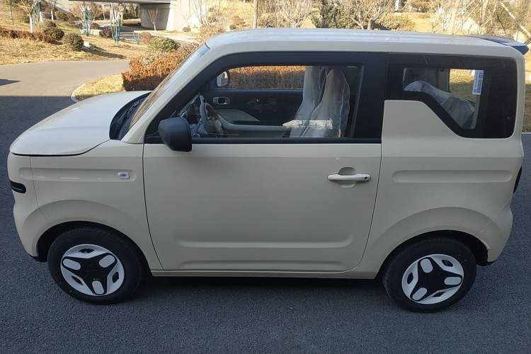Used  Panda 2025 210 km – Yuanqi Bear
