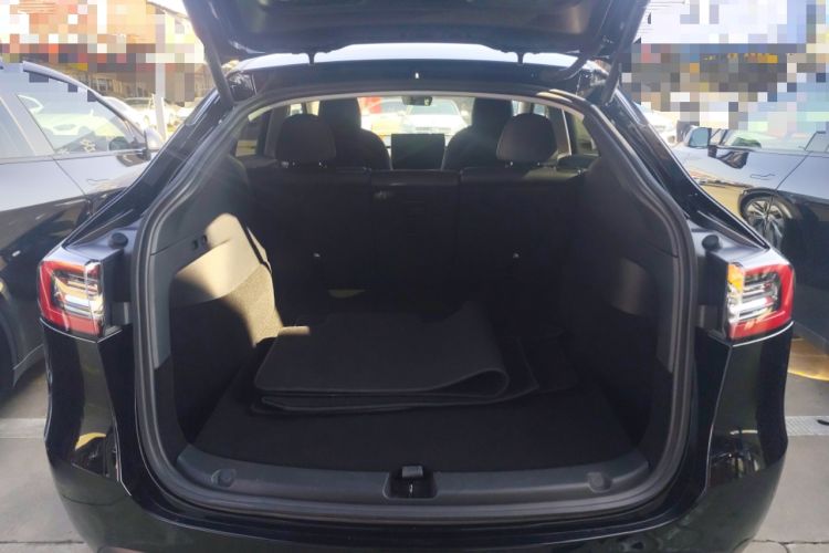 Used Tesla Model Y 2021 Standard Range Rear-Wheel Drive Version
